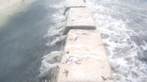 Beach Erosion Barrier