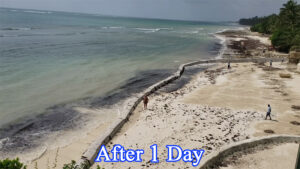 Sandsaver Beach Erosion Solution After 1 Day